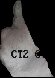 Crop