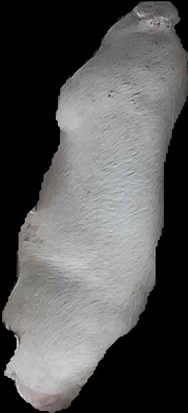 Crop