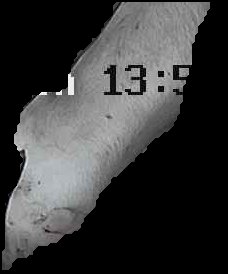 Crop