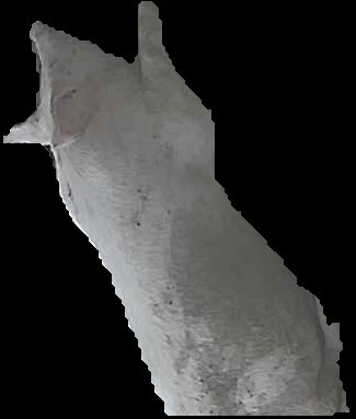 Crop