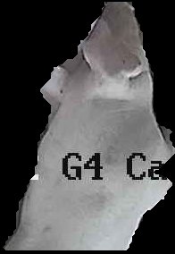 Crop