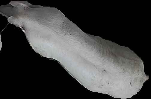 Crop