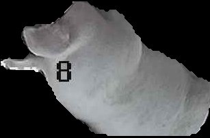 Crop