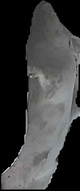 Crop