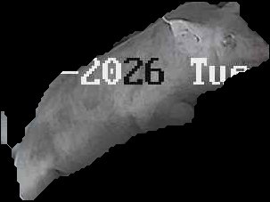 Crop