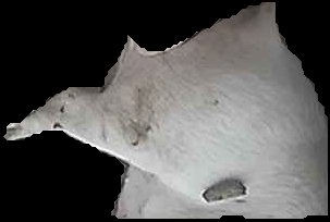 Crop