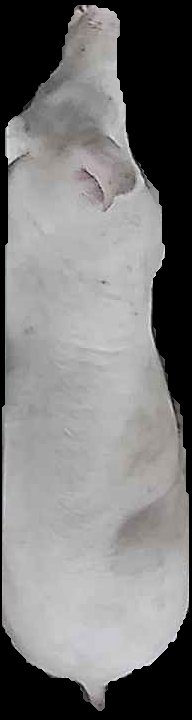 Crop