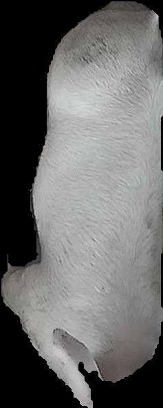 Crop