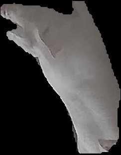 Crop