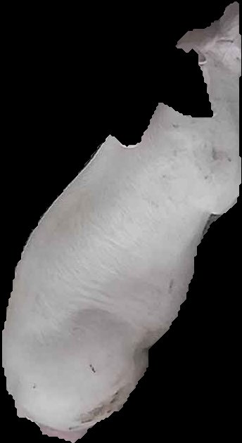 Crop