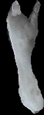 Crop