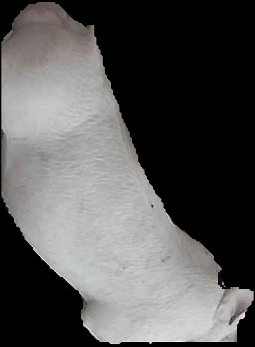 Crop
