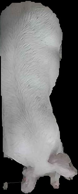 Crop