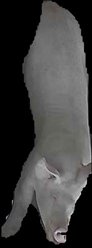 Crop