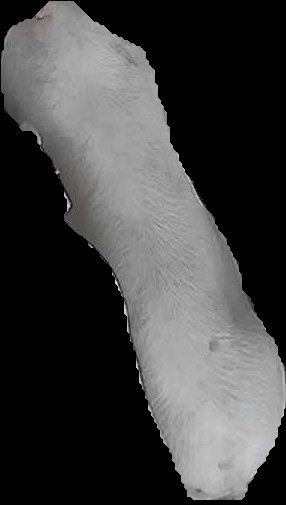 Crop