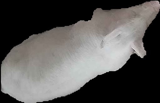 Crop