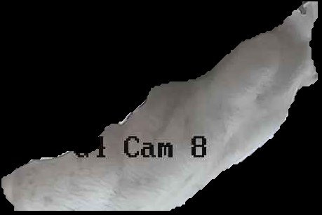 Crop