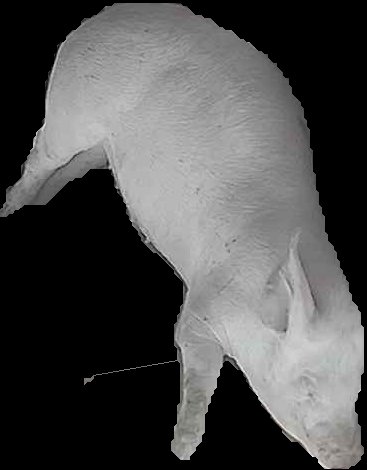 Crop