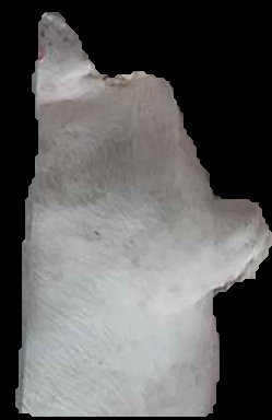 Crop