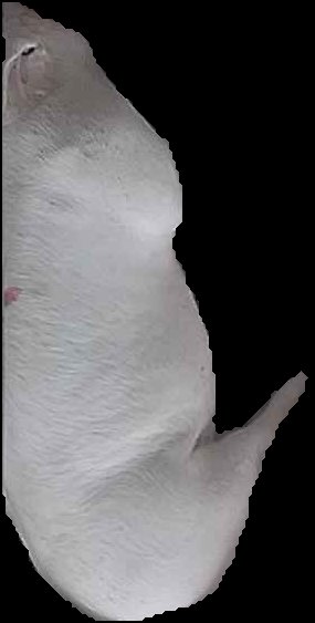 Crop