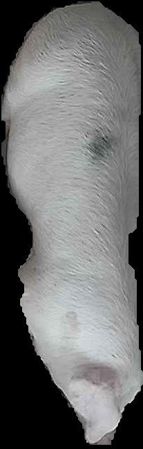 Crop