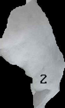 Crop