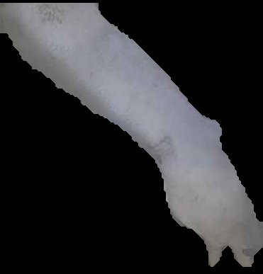 Crop