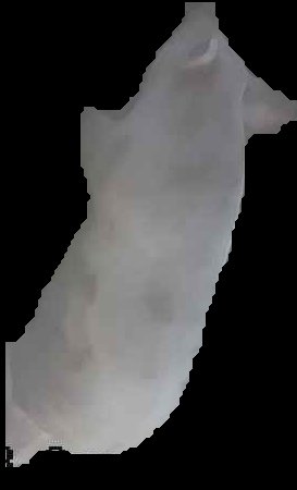 Crop