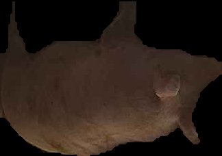 Crop
