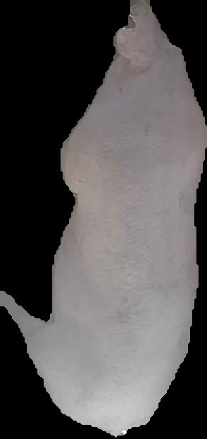 Crop