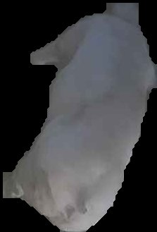 Crop