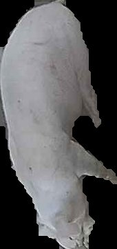 Crop