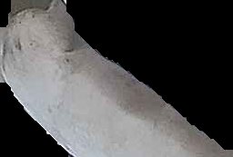 Crop