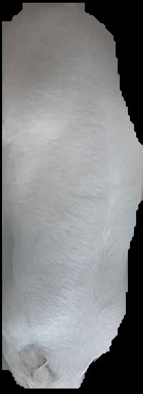 Crop