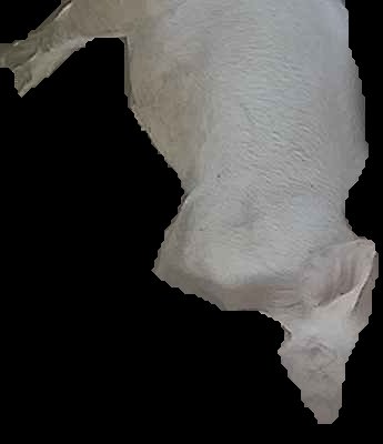 Crop