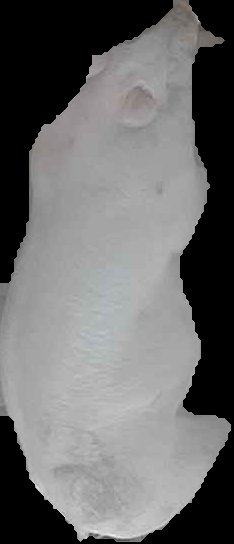 Crop