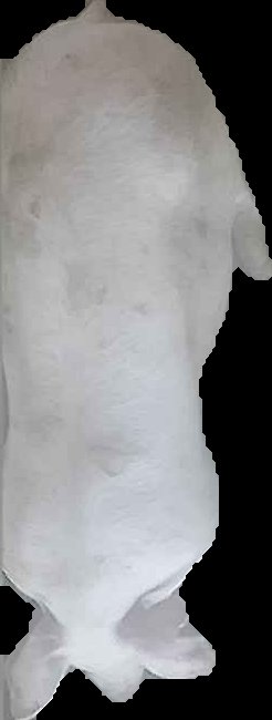 Crop