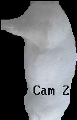 Crop