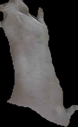 Crop