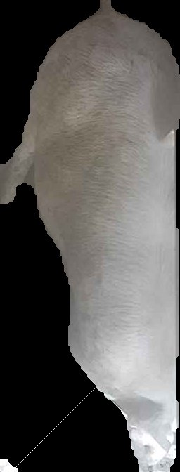 Crop