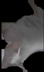 Crop