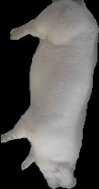 Crop