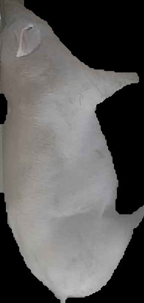 Crop