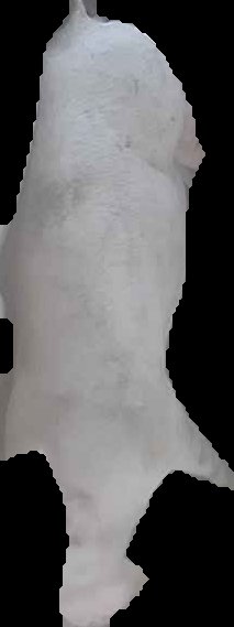 Crop