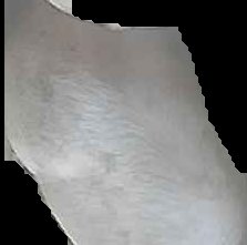 Crop