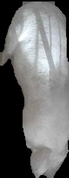 Crop