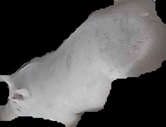 Crop