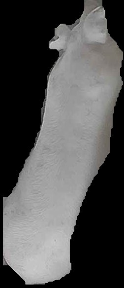 Crop