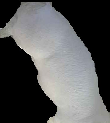 Crop