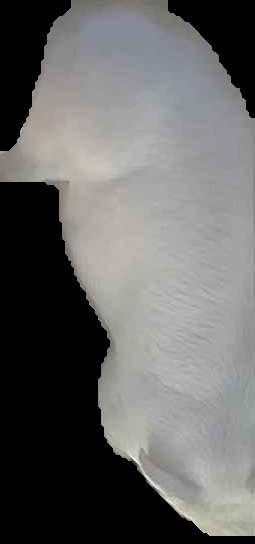 Crop